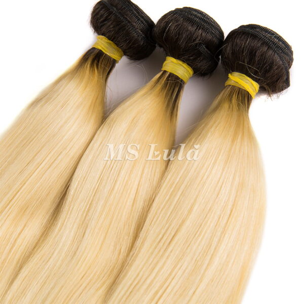 Virgin Natural Straight Hair Bundles Ombre Black Root 613# - Image 5